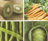 Vegetable Graphic